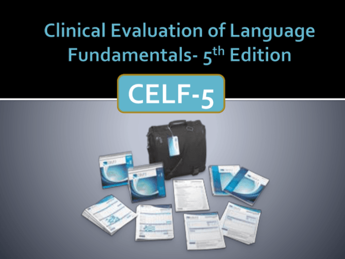 What does the celf 5 assess