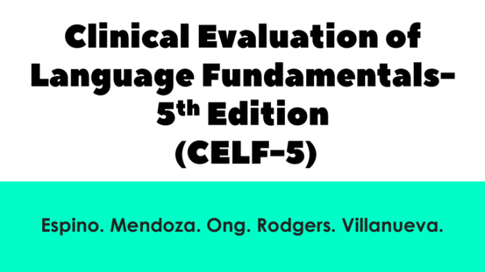 What does the celf 5 assess