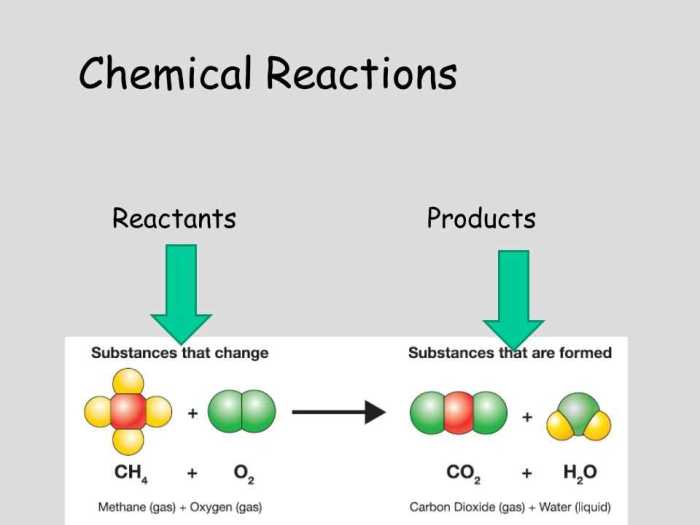 Chemical reaction systems unit test