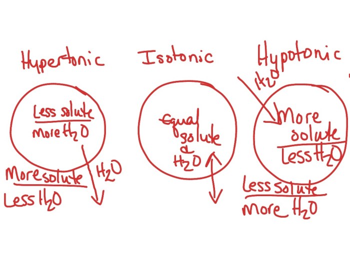 Determine tonicity solutions cells figure solution below