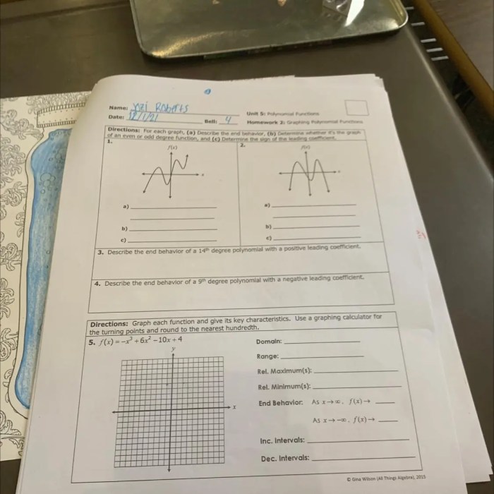 Unit polynomials test polynomial function