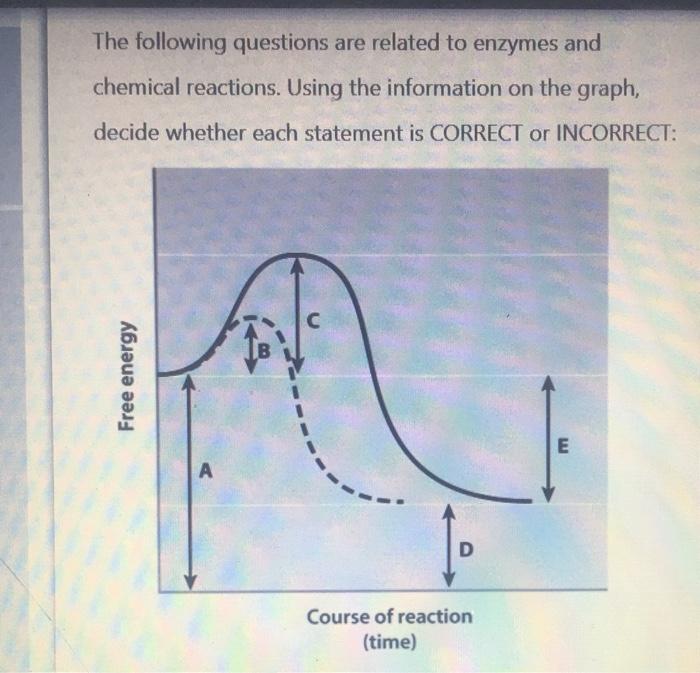 Enzymes graphing critical thinking and calculating reaction rates answer key