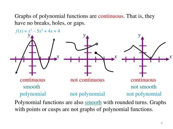 Polynomials and polynomial functions unit test