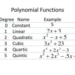 Polynomials and polynomial functions unit test